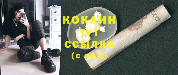 spice Абаза