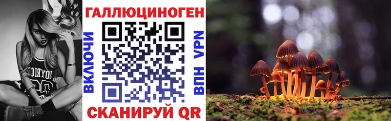 Галлюциногенные грибы Psilocybine cubensis  Каргополь 